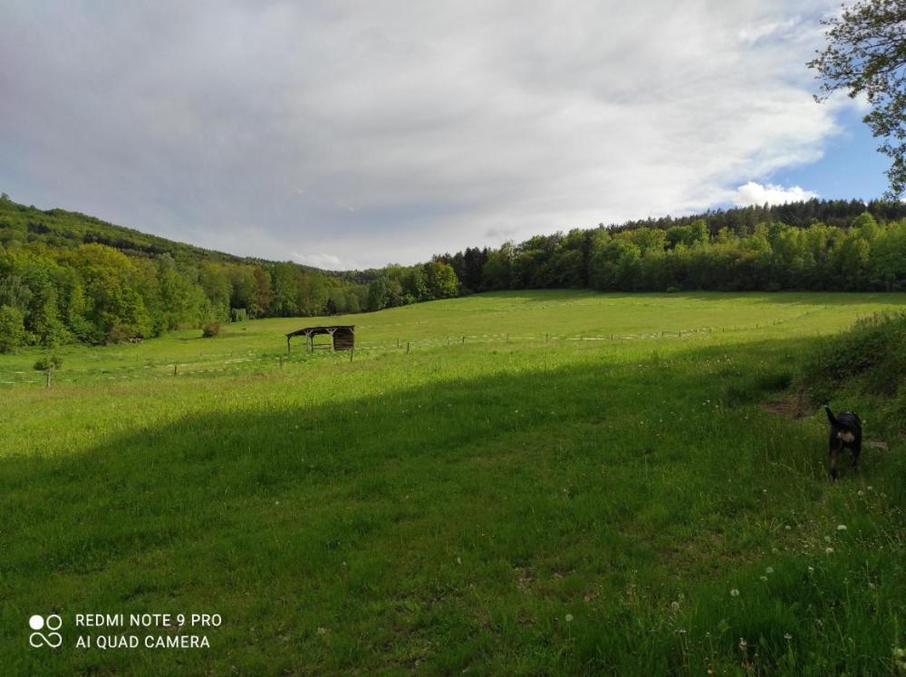 Apartman Pod Sribrnou Horou Lhenice Buitenkant foto