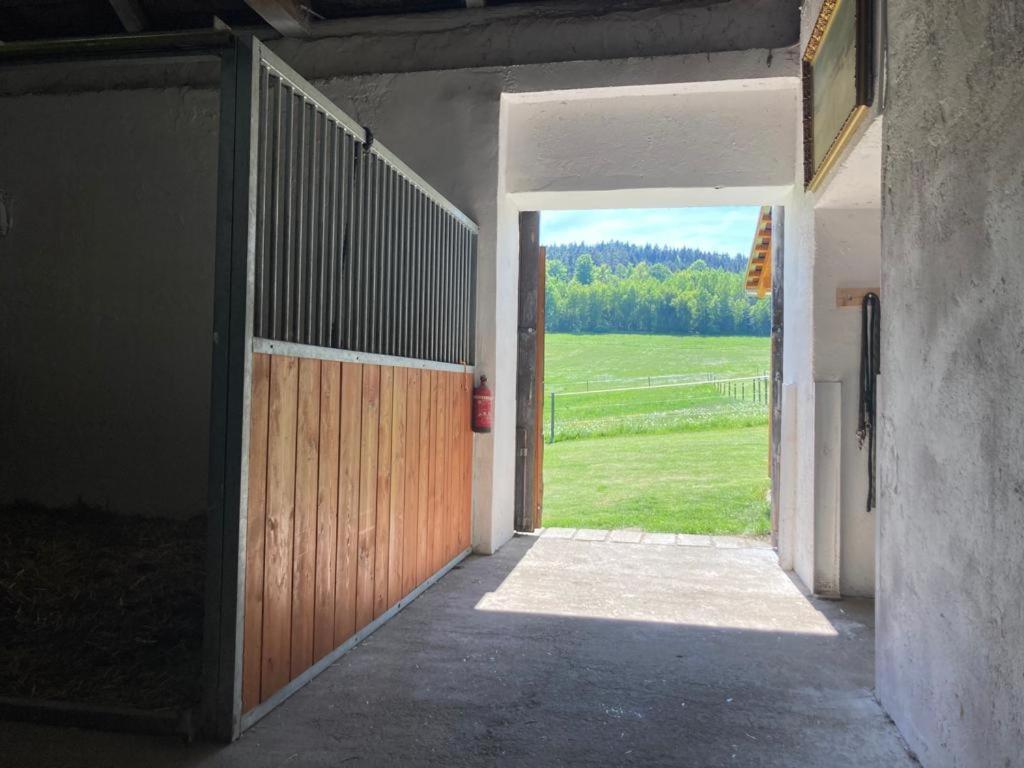 Apartman Pod Sribrnou Horou Lhenice Buitenkant foto