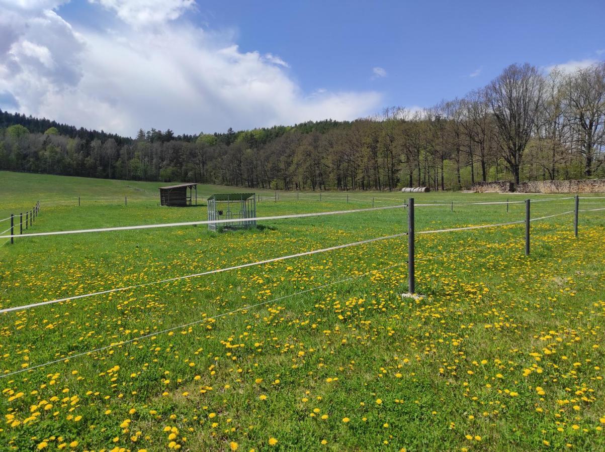 Apartman Pod Sribrnou Horou Lhenice Buitenkant foto