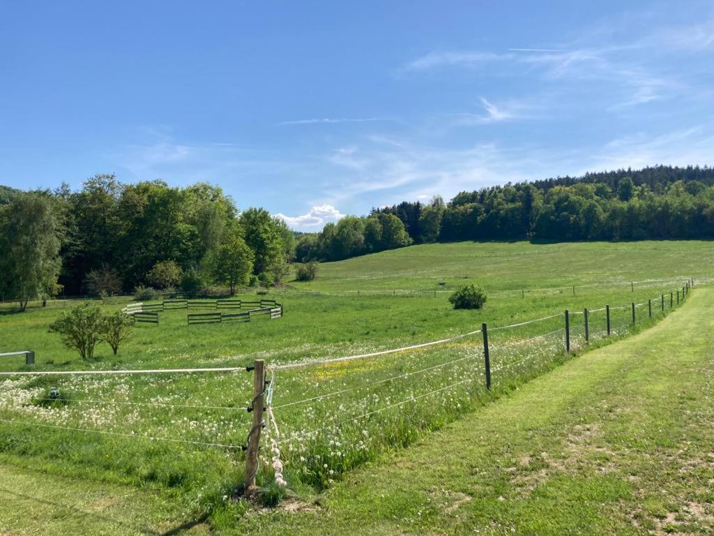 Apartman Pod Sribrnou Horou Lhenice Buitenkant foto